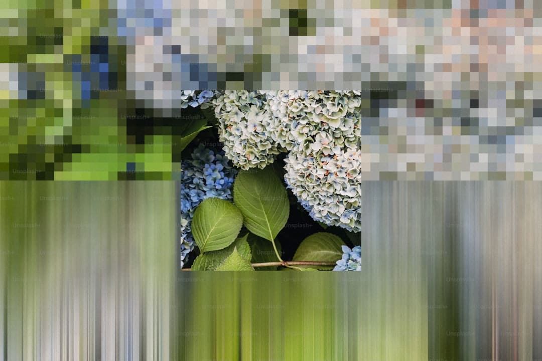 特朗普见李在明都说了啥?